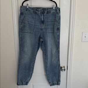 Torrid Blue Denim Jeggings